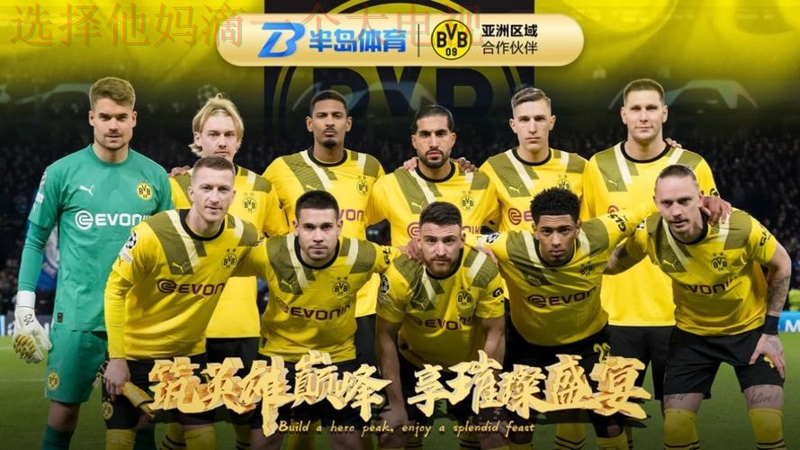 半岛体育最新官网平台